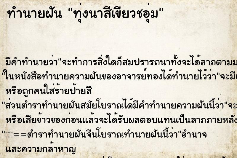ทำนายฝัน ทุ่งนาสีเขียวชอุ่ม