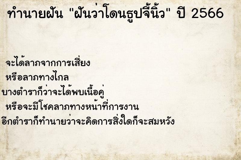 ทำนายฝันฝันว่าโดนธูปจี้นิ้ว ทำนายฝันทำนายฝันฝันว่าโดนธูปจี้นิ้ว