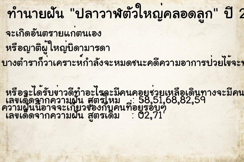 ทำนายฝัน ปลาวาฬตัวใหญ่คลอดลูก ทำนายฝัน ปลาวาฬตัวใหญ่คลอดลูก