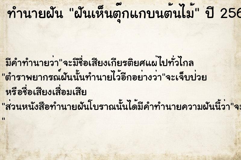 ทำนายฝันฝันเห็นตุ๊กแกบนต้นไม้ ทำนายฝันทำนายฝันฝันเห็นตุ๊กแกบนต้นไม้