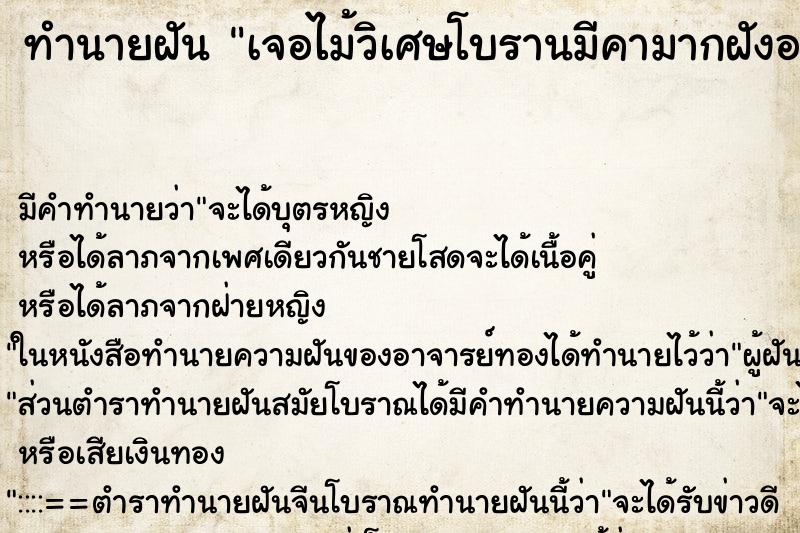 ทำนายฝัน เจอไม้วิเศษโบรานมีคามากฝังอยู่ใตดิน