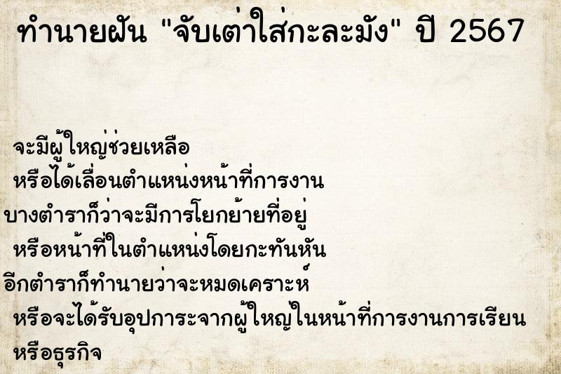 ทำนายฝันจับเต่าใส่กะละมัง ทำนายฝันทำนายฝันจับเต่าใส่กะละมัง