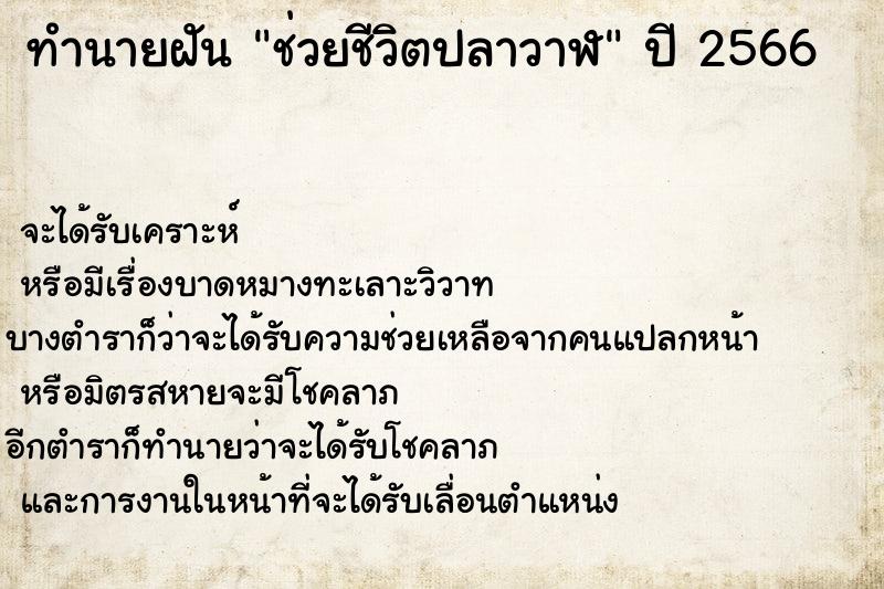 ทำนายฝัน ช่วยชีวิตปลาวาฬ ทำนายฝัน ช่วยชีวิตปลาวาฬ