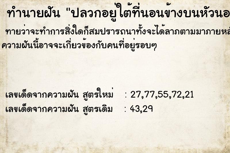 ทำนายฝันทำนายฝันปลวกอยู่ใต้ที่นอนข้างบนหัวนอน