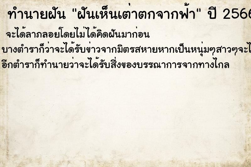 ทำนายฝันทำนายฝันฝันเห็นเต่าตกจากฟ้า