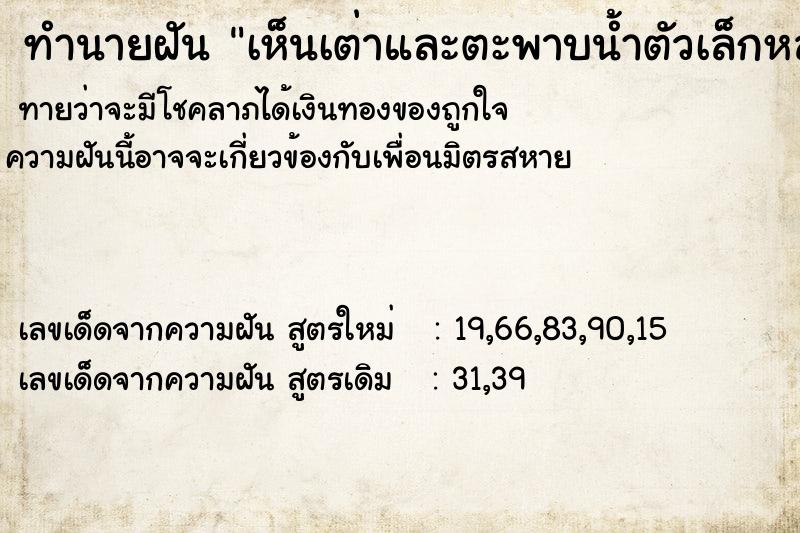 ทำนายฝันทำนายฝันเห็นเต่าและตะพาบน้ำตัวเล็กหลายตัว