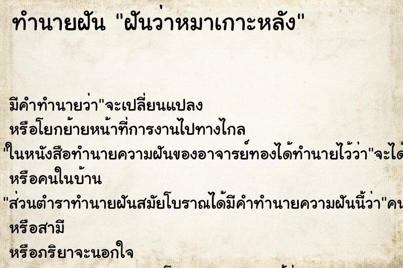 ทำนายฝัน ฝันว่าหมาเกาะหลัง ทำนายฝัน ฝันว่าหมาเกาะหลัง