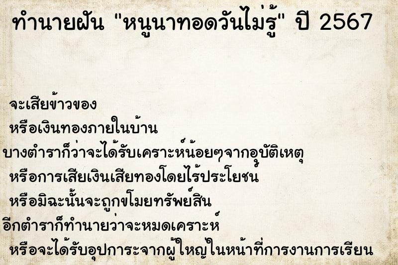 ทำนายฝันทำนายฝันหนูนาทอดวันไม่รู้