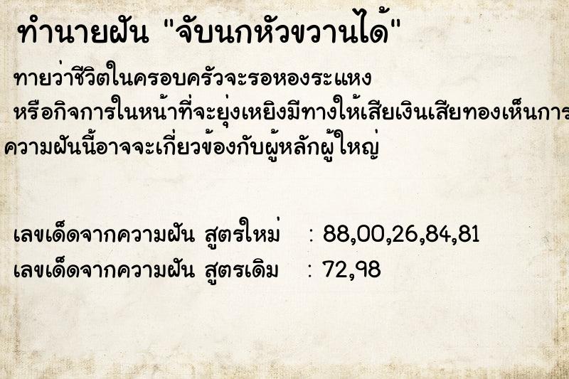 ทำนายฝันทำนายฝันจับนกหัวขวานได้