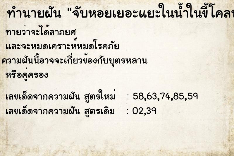 ทำนายฝันทำนายฝันจับหอยเยอะแยะในน้ำในขี้โคลน