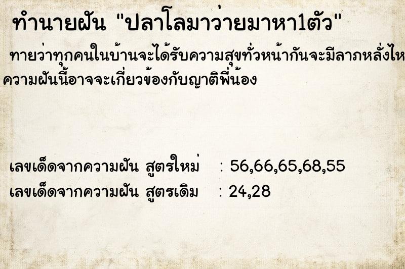 ทำนายฝันปลาโลมาว่ายมาหา1ตัว ทำนายฝันทำนายฝันปลาโลมาว่ายมาหา1ตัว