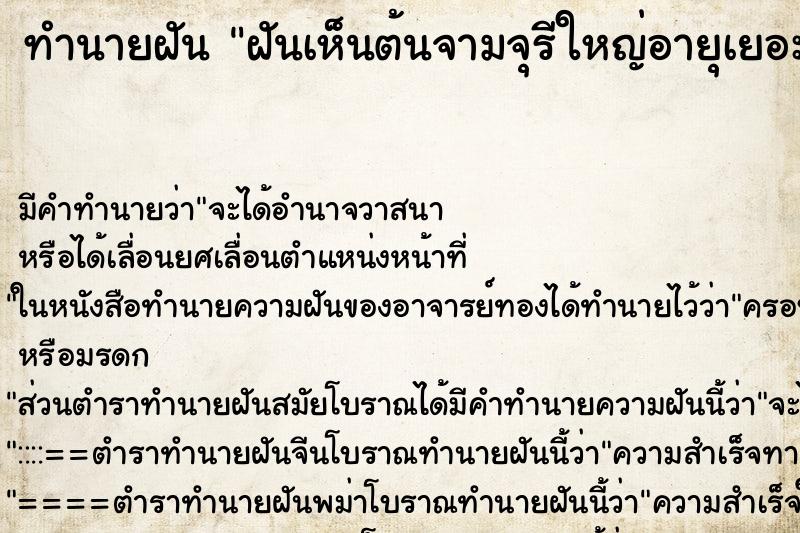 ทำนายฝันฝันเห็นต้นจามจุรีใหญ่อายุเยอะ ทำนายฝันทำนายฝันฝันเห็นต้นจามจุรีใหญ่อายุเยอะ