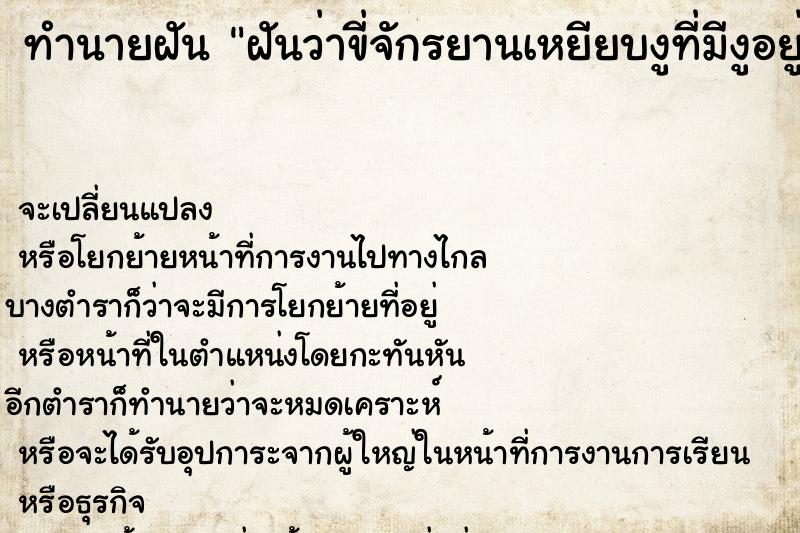 ทำนายฝันฝันว่าขี่จักรยานเหยียบงูที่มีงูอยู่เต็มถนน ทำนายฝันทำนายฝันฝันว่าขี่จักรยานเหยียบงูที่มีงูอยู่เต็มถนน