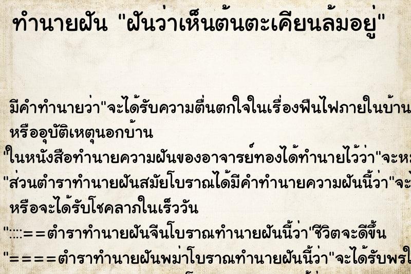 ทำนายฝัน ฝันว่าเห็นต้นตะเคียนล้มอยู่ ทำนายฝัน ฝันว่าเห็นต้นตะเคียนล้มอยู่