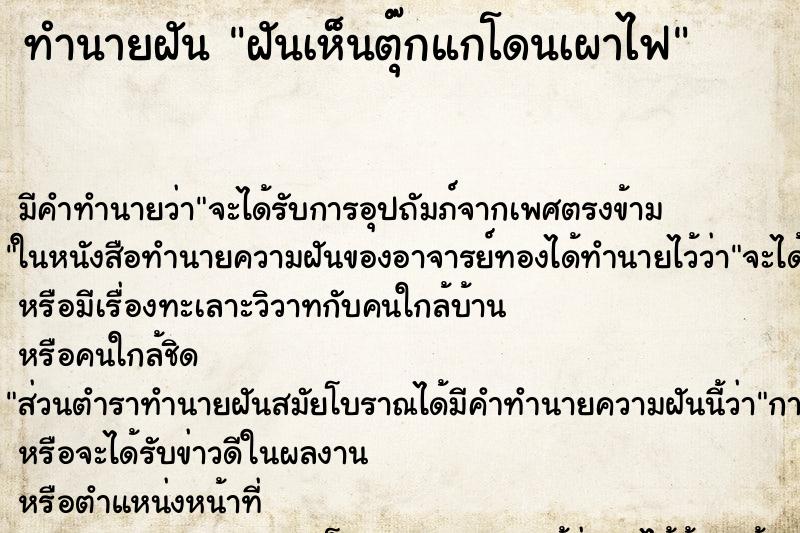 ทำนายฝัน ฝันเห็นตุ๊กแกโดนเผาไฟ ทำนายฝัน ฝันเห็นตุ๊กแกโดนเผาไฟ