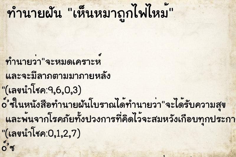 ทำนายฝัน เห็นหมาถูกไฟไหม้ ตำราโบราณ แม่นที่สุดในโลก