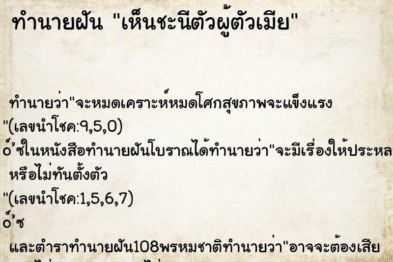 ทำนายฝัน เห็นชะนีตัวผู้ตัวเมีย