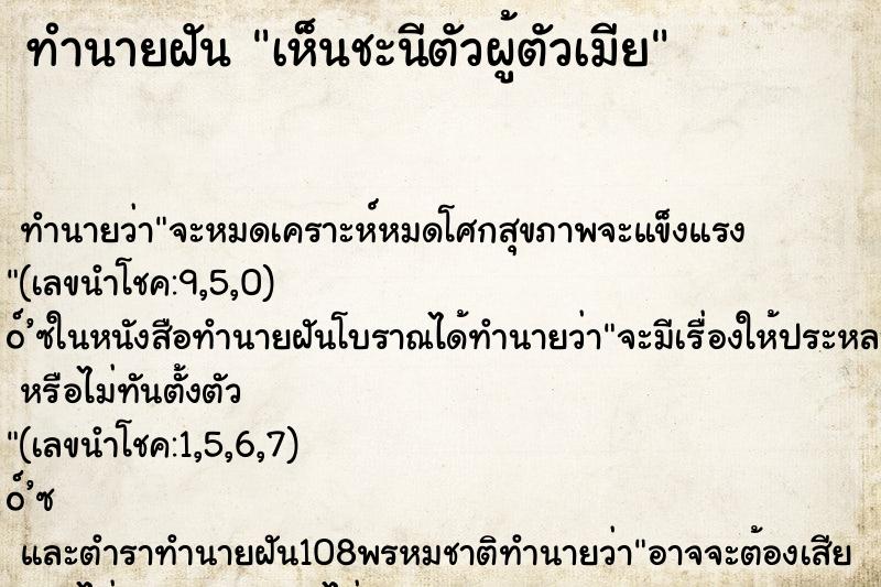 ทำนายฝัน เห็นชะนีตัวผู้ตัวเมีย ตำราโบราณ แม่นที่สุดในโลก