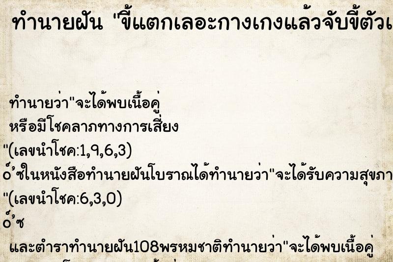 ทำนายฝัน ขี้แตกเลอะกางเกงแล้วจับขี้ตัวเอง