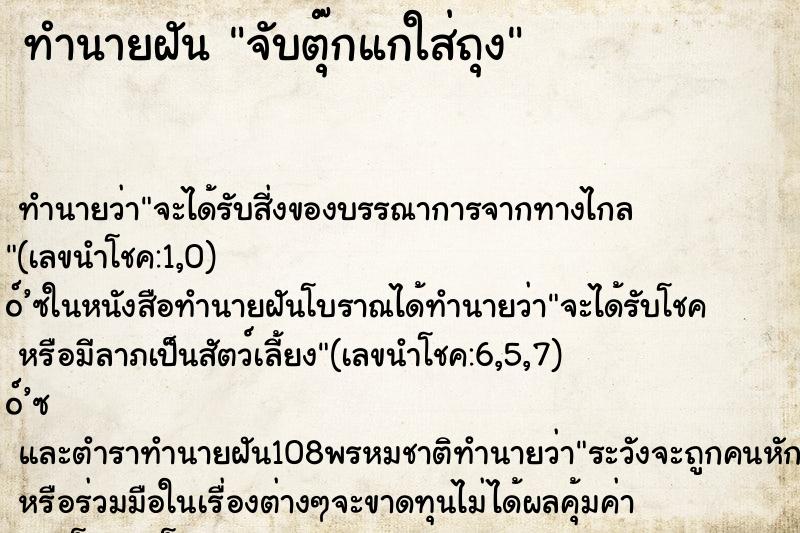 ทำนายฝันจับตุ๊กแกใส่ถุง ทำนายฝันทำนายฝันจับตุ๊กแกใส่ถุง