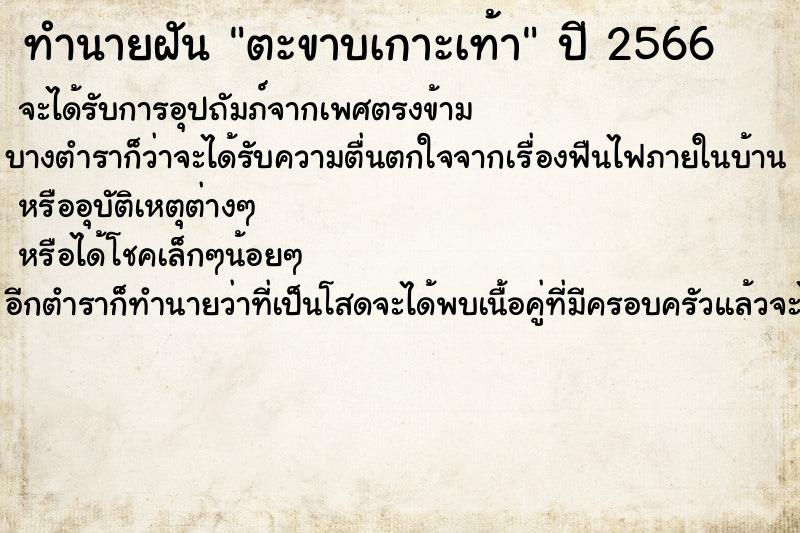 ทำนายฝัน ตะขาบเกาะเท้า ทำนายฝัน ตะขาบเกาะเท้า