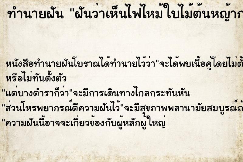 ทำนายฝันทำนายฝันฝันว่าเห็นไฟไหม้ใบไม้ต้นหญ้ากองไฟเล็กเป็นหย่อม