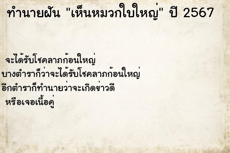 ทำนายฝัน เห็นหมวกใบใหญ่ ทำนายฝัน เห็นหมวกใบใหญ่