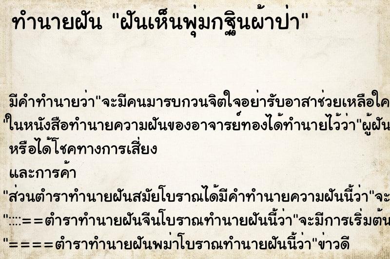 ทำนายฝัน ฝันเห็นพุ่มกฐินผ้าป่า ทำนายฝัน ฝันเห็นพุ่มกฐินผ้าป่า