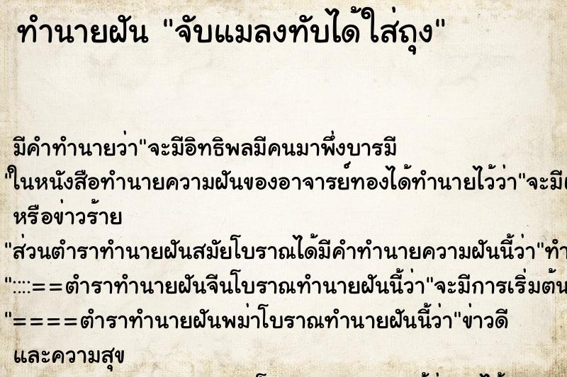 ทำนายฝัน จับแมลงทับได้ใส่ถุง ทำนายฝัน จับแมลงทับได้ใส่ถุง