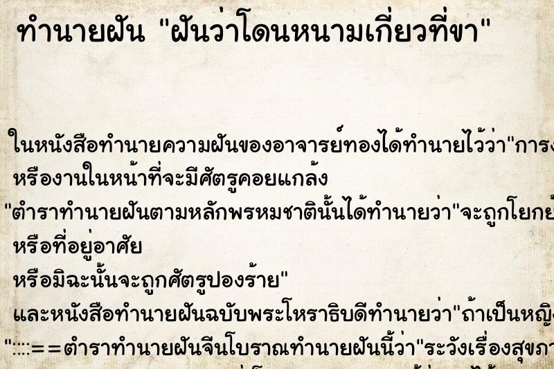 ทำนายฝันฝันว่าโดนหนามเกี่ยวที่ขา ทำนายฝันทำนายฝันฝันว่าโดนหนามเกี่ยวที่ขา