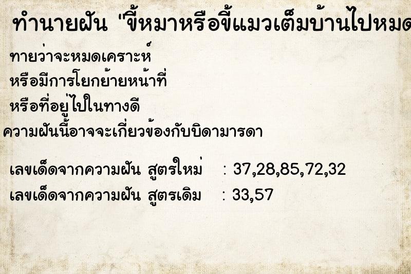 ทำนายฝันขี้หมาหรือขี้แมวเต็มบ้านไปหมดนั่งกับพื้นไม่ได้เลย ทำนายฝันทำนายฝันขี้หมาหรือขี้แมวเต็มบ้านไปหมดนั่งกับพื้นไม่ได้เลย