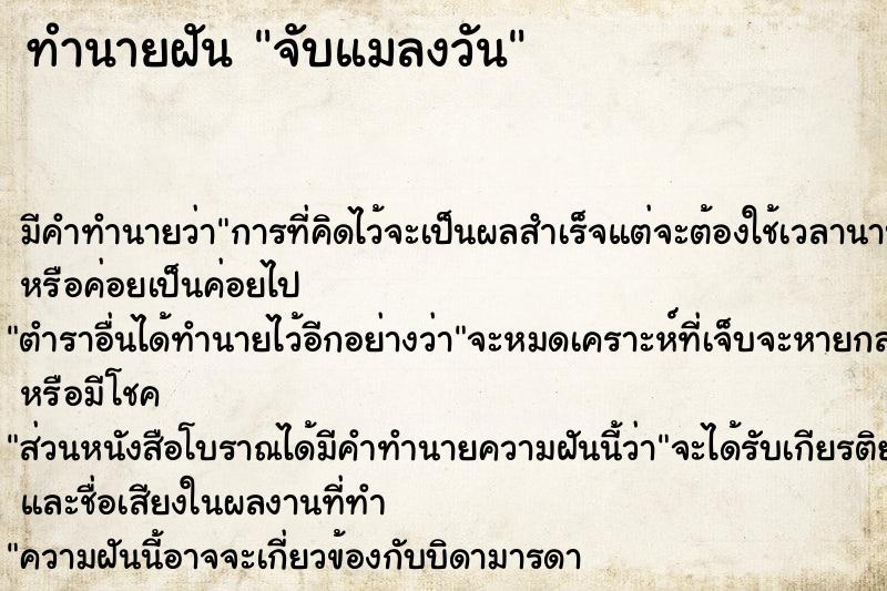 ทำนายฝัน จับแมลงวัน ทำนายฝัน จับแมลงวัน