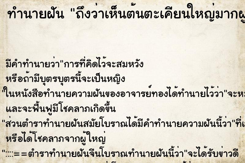 ทำนายฝัน ถึงว่าเห็นต้นตะเคียนใหญ่มากผูกผ้าสามสี ทำนายฝัน ถึงว่าเห็นต้นตะเคียนใหญ่มากผูกผ้าสามสี