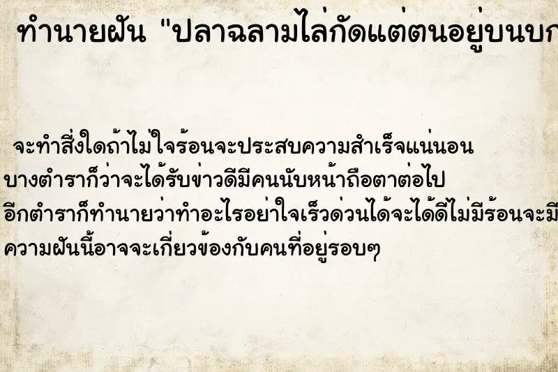ทำนายฝัน ปลาฉลามไล่กัดแต่ตนอยู่บนบก ทำนายฝัน ปลาฉลามไล่กัดแต่ตนอยู่บนบก