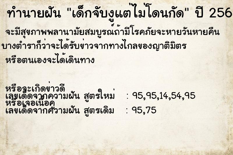 ทำนายฝัน เด็กจับงูแต่ไม่โดนกัด ทำนายฝัน เด็กจับงูแต่ไม่โดนกัด