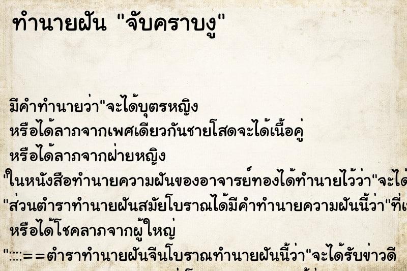 ทำนายฝัน จับคราบงู ทำนายฝัน จับคราบงู