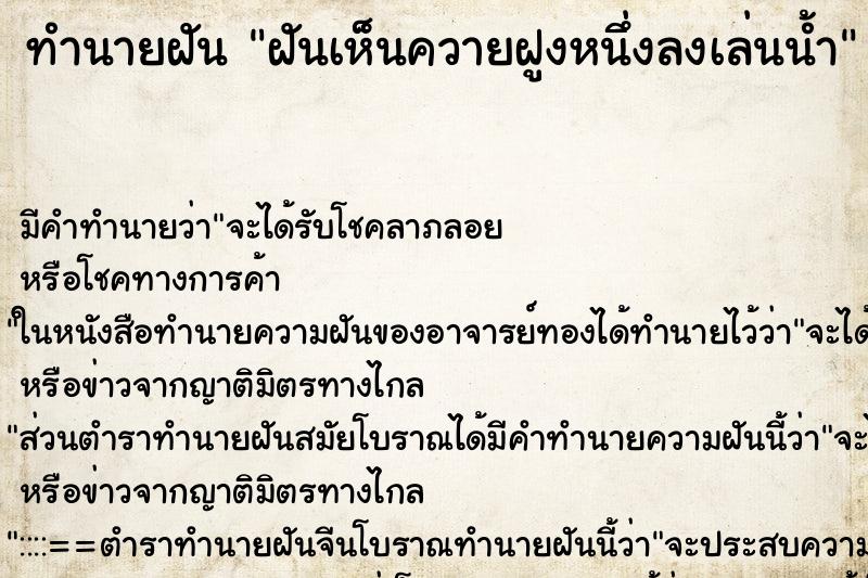 ทำนายฝัน ฝันเห็นควายฝูงหนึ่งลงเล่นน้ำ ทำนายฝัน ฝันเห็นควายฝูงหนึ่งลงเล่นน้ำ