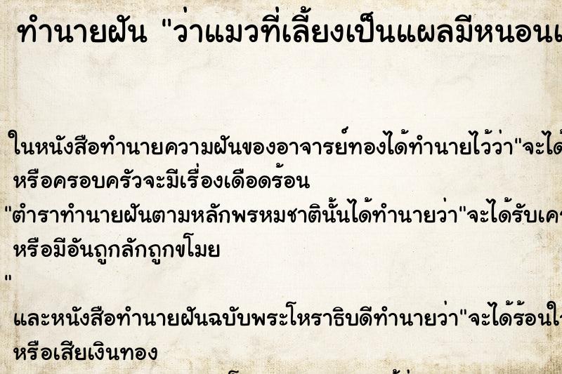 ทำนายฝัน ว่าแมวที่เลี้ยงเป็นแผลมีหนอนเต็ม ทำนายฝัน ว่าแมวที่เลี้ยงเป็นแผลมีหนอนเต็ม