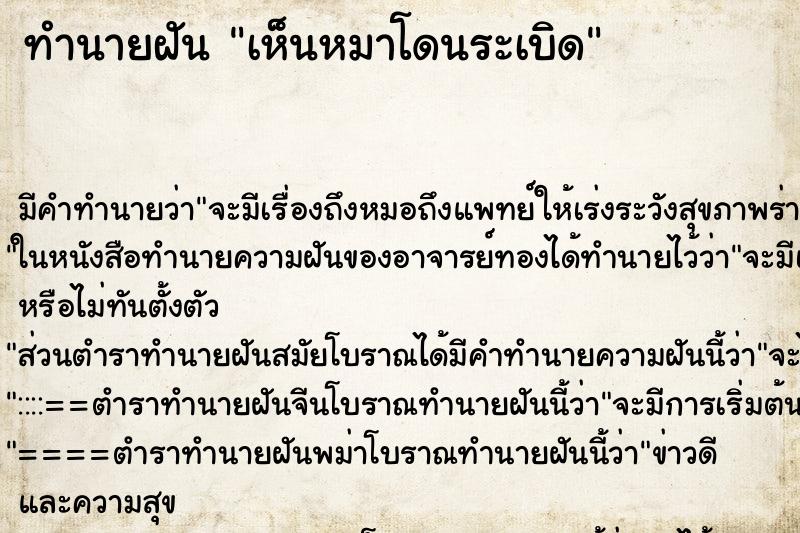 ทำนายฝัน เห็นหมาโดนระเบิด ทำนายฝัน เห็นหมาโดนระเบิด