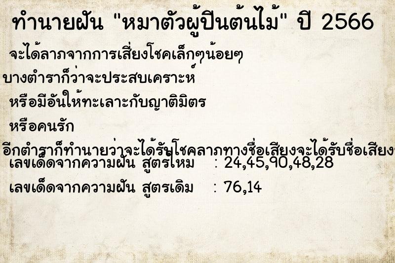 ทำนายฝัน หมาตัวผู้ปีนต้นไม้ ทำนายฝัน หมาตัวผู้ปีนต้นไม้
