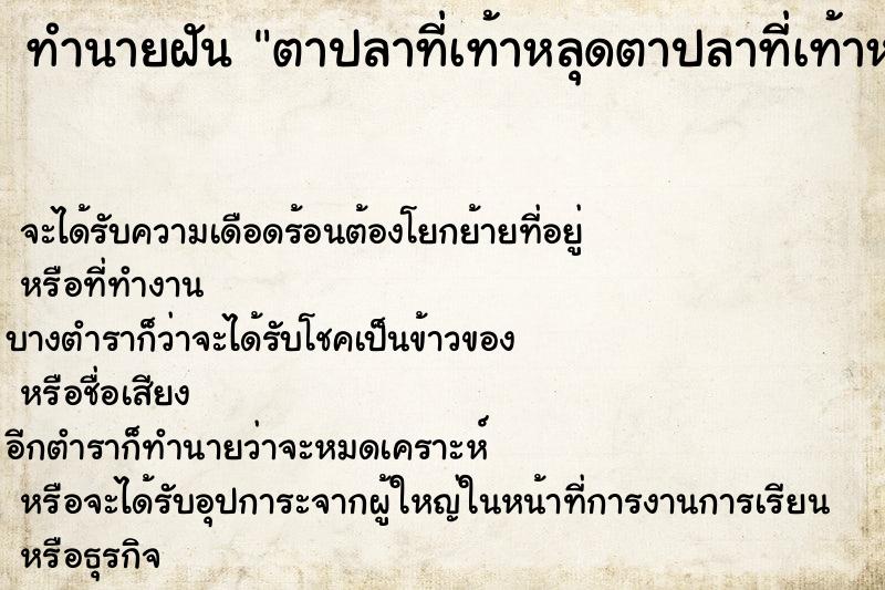 ทำนายฝันตาปลาที่เท้าหลุดตาปลาที่เท้าหลุด ทำนายฝันทำนายฝันตาปลาที่เท้าหลุดตาปลาที่เท้าหลุด