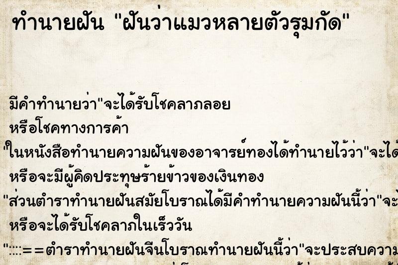 ทำนายฝัน ฝันว่าแมวหลายตัวรุมกัด ทำนายฝัน ฝันว่าแมวหลายตัวรุมกัด