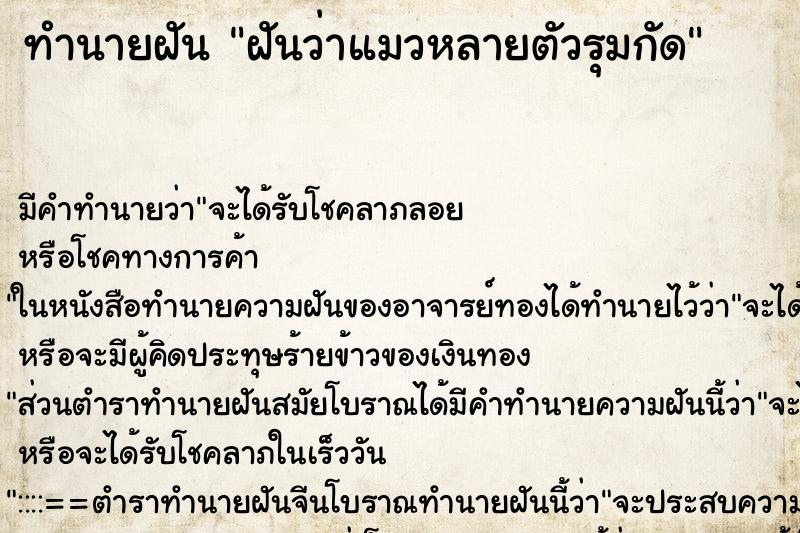 ทำนายฝัน ฝันว่าแมวหลายตัวรุมกัด ตำราโบราณ แม่นที่สุดในโลก