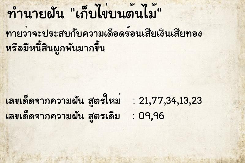 ทำนายฝันทำนายฝันเก็บไข่บนต้นไม้