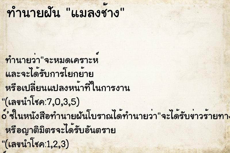 ทำนายฝัน แมลงช้าง ทำนายฝัน แมลงช้าง