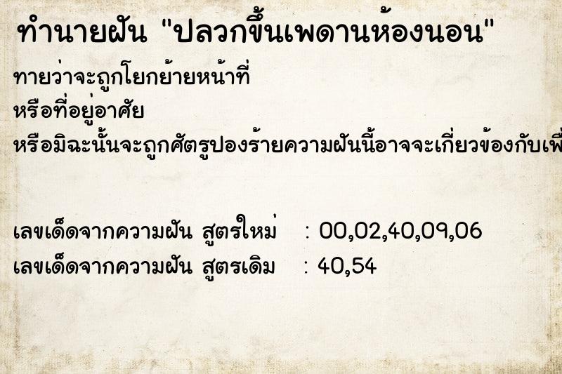 ทำนายฝันทำนายฝันปลวกขึ้นเพดานห้องนอน