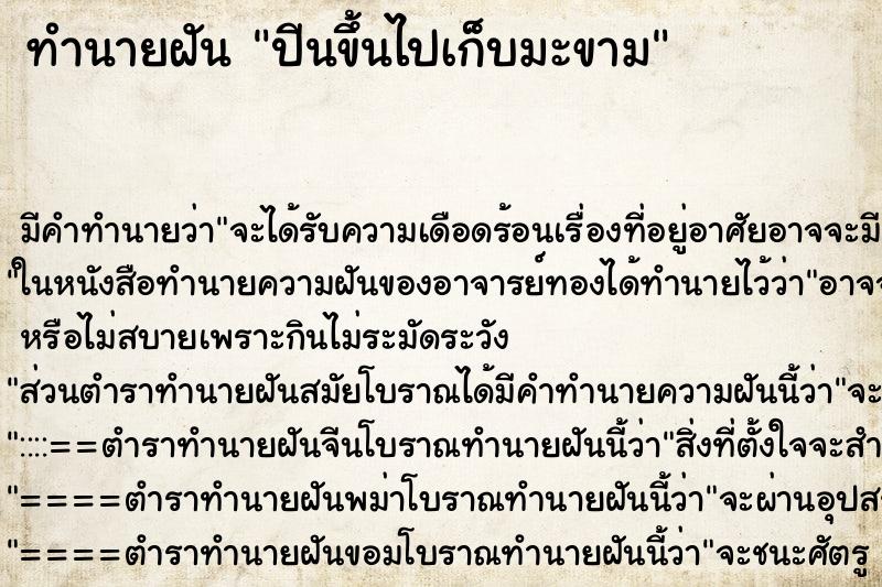 ทำนายฝันปีนขึ้นไปเก็บมะขาม ทำนายฝันทำนายฝันปีนขึ้นไปเก็บมะขาม