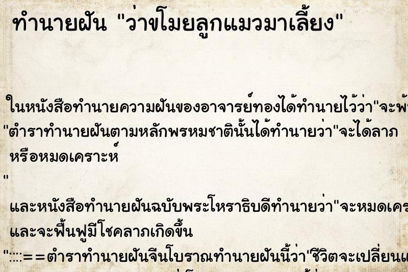 ทำนายฝันว่าขโมยลูกแมวมาเลี้ยง ทำนายฝันทำนายฝันว่าขโมยลูกแมวมาเลี้ยง