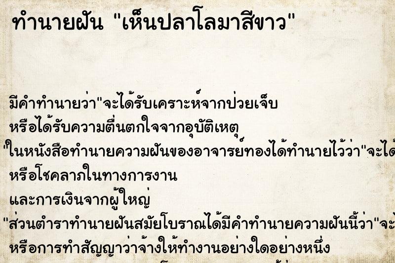 ทำนายฝัน เห็นปลาโลมาสีขาว ตำราโบราณ แม่นที่สุดในโลก