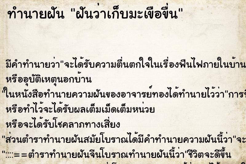 ทำนายฝัน ฝันว่าเก็บมะเขือขื่น ทำนายฝัน ฝันว่าเก็บมะเขือขื่น